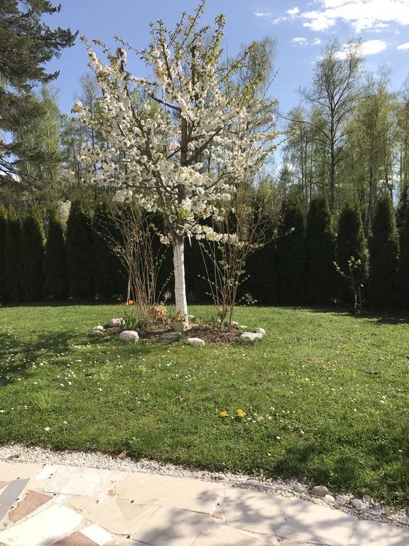 Apartmán Pension Hadanig Techelsberg Exteriér fotografie